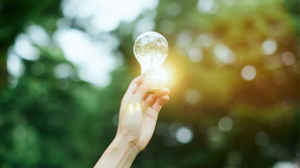 Inovação e Sustentabilidade