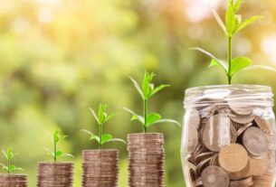 Investimentos para iniciantes