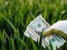 investimentos para iniciantes guia