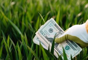 investimentos para iniciantes guia