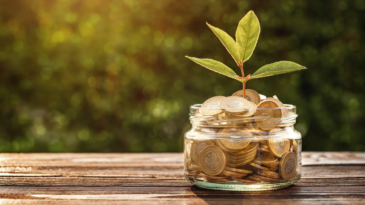 Como montar reserva de emergência do zero ganhando pouco? Saiba como! 1 como montar reserva de emergência